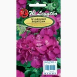 Pelargonia rabatowa GAMA F1 (fioletowa) (Pelargonium x hortorum) - 0,03 g