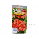 Pelargonia rabatowa GAMA F1 (łososiowa) (Pelargonium x hortorum) - 0,05 g