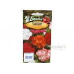 Pelargonia rabatowa (mieszanka) (Pelargonium x hortorum) - 0,05 g