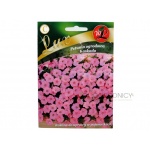 Petunia ogrodowa KASKADA (różowa) (Petunia x hybrida pendula) - 0,02 g