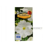 Petunia wielkokwiatowa (biała) (Petunia x hybrida grandiflora ) - 0,01 g