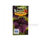 Petunia wielkokwiatowa (granatowo-niebieska) (Petunia x hybrida grandiflora) - 0,01 g