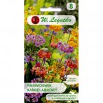 Pierwiosnek kandelabrowy (Primula candelabra hybrida) - 0,02 g