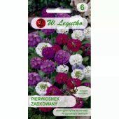 Pierwiosnek ząbkowany (Primula denticulata) - 0,03 g