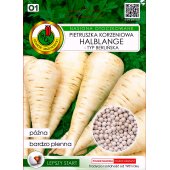 Pietruszka korzeniowa późna HALBLANGE BERLIŃSKA otoczkowana (Petroselinum crispum) - 300 nasion