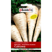 Pietruszka korzeniowa wczesna CUKROWA (Petroselinum crispum) - 5 g