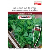 Pietruszka naciowa NATALKA (Petroselinum crispum) - taśma 5 m