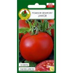 Pomidor gruntowy karłowy JAWOR (Lycopersicon esculentum) - 1 g