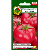Pomidor gruntowy karłowy MALINIAK (Lycopersicon esculentum) - 1 g