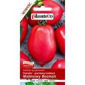 Pomidor gruntowy karłowy MALINOWY BOSMAN (Solanum lycopersicum) - 0,5 g