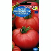 Pomidor gruntowy karłowy MARMANDE (Solanum lycopersicum) - 0,5 g