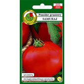 Pomidor gruntowy karłowy SAMURAJ (Lycopersicon esculentum) - 0,5 g