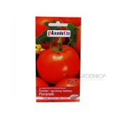 Pomidor gruntowy karłowy PORANEK (Lycopersicon esculentum) - 1 g