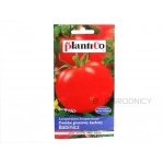 Pomidor gruntowy karłowy BABINICZ (Lycopersicon esculentum) - 1 g