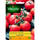 Pomidor gruntowy karłowy BERNER ROSE (Lycopersicon esculentum) - 200 mg