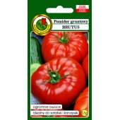 Pomidor gruntowy wysoki i pod osłony BRUTUS (Solanum lycopersicum) - 0,5 g