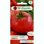 Pomidor gruntowy wysoki i pod osłony ADAM F1 (Lycopersicon esculentum) - 0,3 g