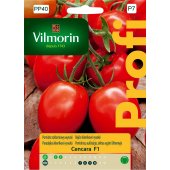 Pomidor gruntowy wysoki i pod osłony CENCARA F1 (Solanum lycopersicum) - 200 mg
