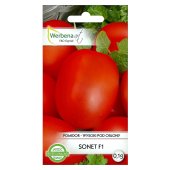 Pomidor gruntowy wysoki i pod osłony SONET F1 (Lycopersicon esculentum) - 0,1 g