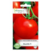 Pomidor gruntowy wysoki i pod osłony PALAVA F1 (Lycopersicon esculentum) - 0,1 g