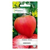 Pomidor gruntowy wysoki i pod osłony HERODES (Solanum lycopersicum L.) - 0,5 g