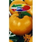 Pomidor gruntowy wysoki i pod osłony JANTAR (Lycopersicon esculentum) - 0,5 g