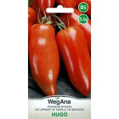 Pomidor gruntowy wysoki i pod osłony HUGO (Solanum lycopersicum) - 0,5 g