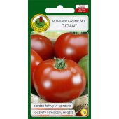 Pomidor gruntowy wysoki i pod osłony GIGANT (Lycopersicon esculentum) - 1 g