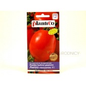 Pomidor gruntowy karłowy AWIZO mieszaniec F1 (Lycopersicon esculentum) - 0,5 g 