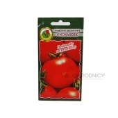 Pomidor gruntowy karłowy ONDRASZEK (Lycopersicon esulentum) - 1 g