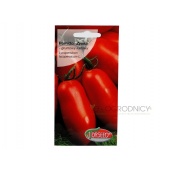 Pomidor gruntowy karłowy ZYSKA (Lycopersicon lycopersicum L.) - 0,2 g