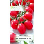 Pomidor koktajlowy MALINOWY SMACZEK (Solanum lycopersicum L.) - 0,1 g