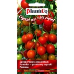 Pomidor koktajlowy POKUSA (Lycopersicon lycopersicum) - 0,5 g  