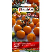 Pomidor koktajlowy typ cherry FIGIEL (Solanum lycopersicum) - 0,2 g