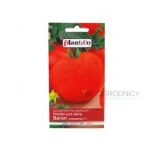 Pomidor szklarniowy - tunelowy BARON F1  (Lycopersicon esculentum) - 0,1 g