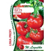 Pomidor szklarniowy - tunelowy ELF mieszaniec F1 (Solanum lycopersicum L.) - 10 nasion