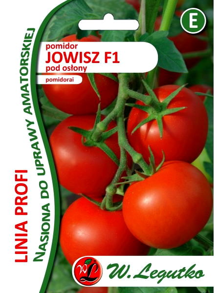Pomidor szklarniowy - tunelowy JOWISZ F1 (Lycopersicon esculentum) - 30 nasion