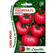Pomidor szklarniowy - tunelowy malinowy POLOROSA mieszaniec F1 (Lycopersicon esculentum) - 15 nasion