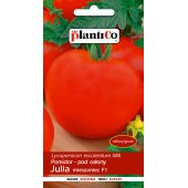 Pomidor szklarniowy - tunelowy i do gruntu JULIA mieszaniec F1 (Lycopersicon esculentum) - 0,1 g