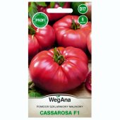Pomidor szklarniowy - tunelowy i do gruntu CASSAROSA F1 malinowy (Solanum lycopersicum) - 8 nasion