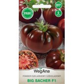 Pomidor szklarniowy - tunelowy i do gruntu BIG SACHER F1 (Solanum lycopersicum) - 8 nasion
