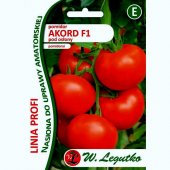 Pomidor szklarniowy - tunelowy AKORD F1 (Lycopersicon esculentum) - 30 nasion