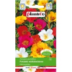 Portulaka wielkokwiatowa (mieszanka) (Portulaca grandiflora) - 0,5 g