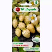 Poziomka YELLOW WONDER (Fragaria vesca) - 0,1 g