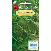 Proso fioletowe (Panicum violaceum) - 3 g