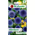 Przegorzan (Echinops ritro) - 1 g