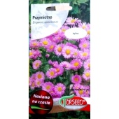 Przymiotno (Erigeron speciosus) - 0,5 g 