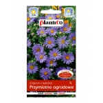 Przymiotno ogrodowe (Erigeron x hybridus) - 0,2 g