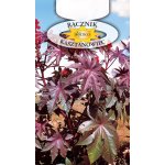 Rącznik czerwonolistny, Kasztanowiec (Ricinus communis) - 2 g