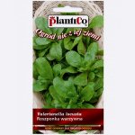 Roszponka D`OLANDA A SEME GROSSO (Valerianella locusta) - 1 g
